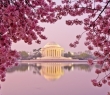World_49 Jefferson Memorial, Washington DC, USA